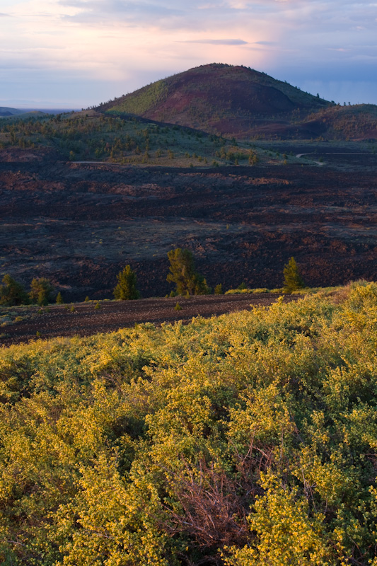 Flowers And Volcanic Cone At Sunrise